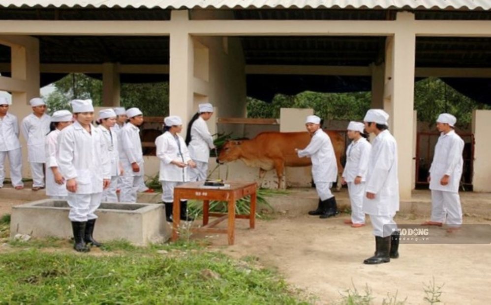 Practical class of Thanh Hoa Agricultural College before the merger. Photo: Tran Lam