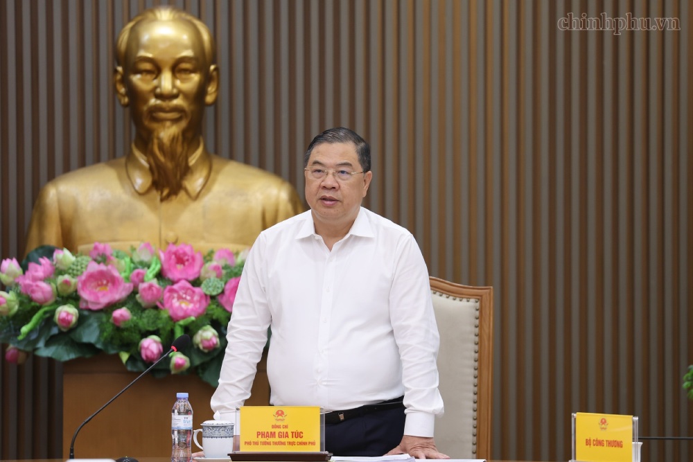 ファム・ザー・トゥック政治局委員、常任副首相がワーキングセッションで発言。写真:chinhphu.vn/フオン・グエン