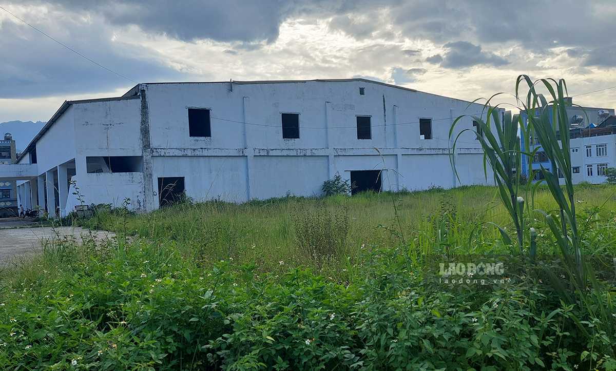 4 land plots and assets on land are about to be leased short-term by Lai Chau. Photo: Thanh Binh