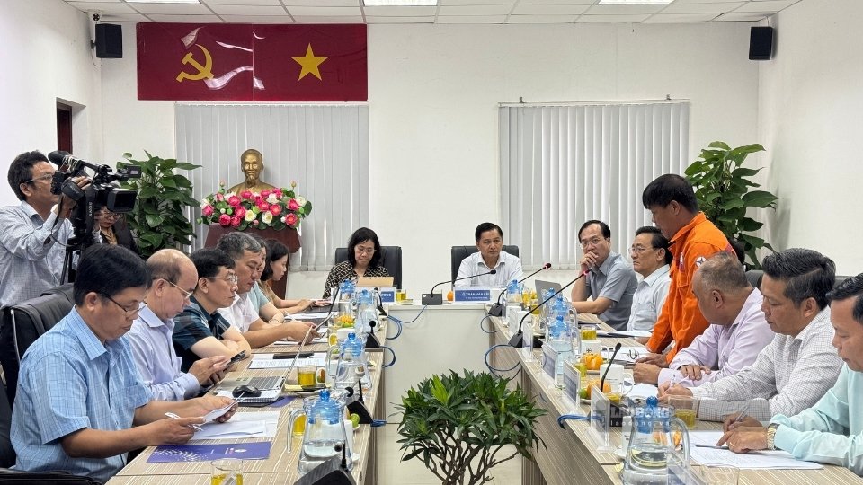 Leaders of Vinh Long province and the working delegation of the Department of Statistics at the survey of energy projects. Photo: Hoang Loc