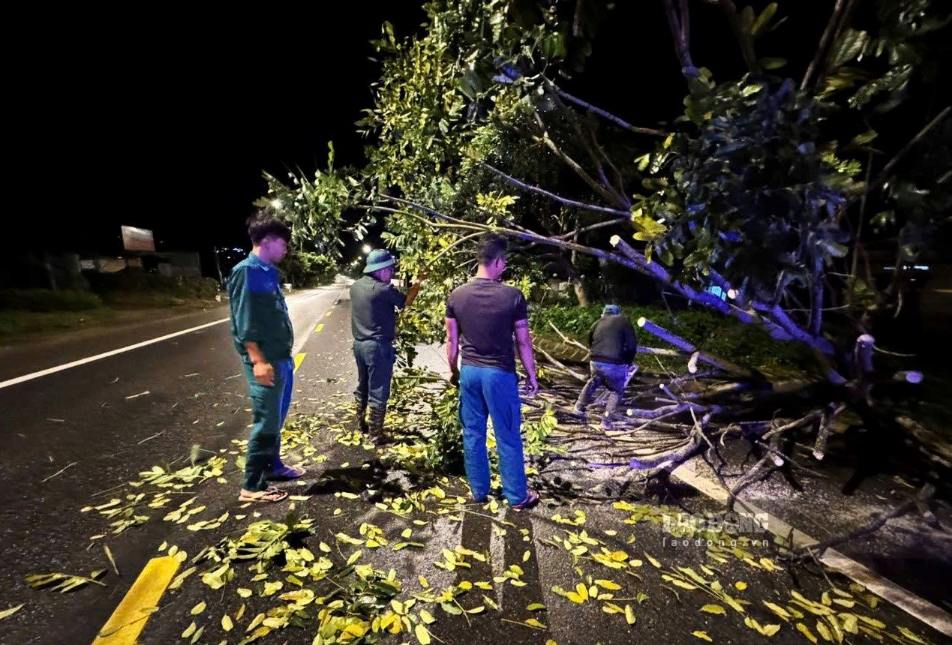 Forces focus on handling fallen green trees blocking National Highway 20. Photo: Kim Tuyen