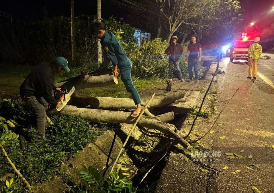 Đến khoảng 22h giờ cùng ngày, hiện trường các vụ ngã đổ cây xanh đã được giải phóng. Ảnh: Kim Tuyến 