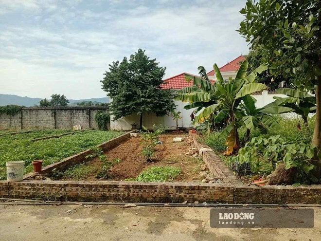Land plot prices fall sharply, secondary apartments begin to adjust. Photo: Binh Nguyen