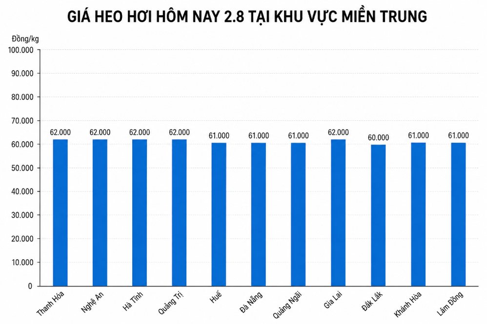 Giá heo hơi hôm nay 28 tại khu vực miền Trung. Đồ họa sử dụng AI