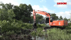 Functional forces enforce the demolition in Phu Quoc.