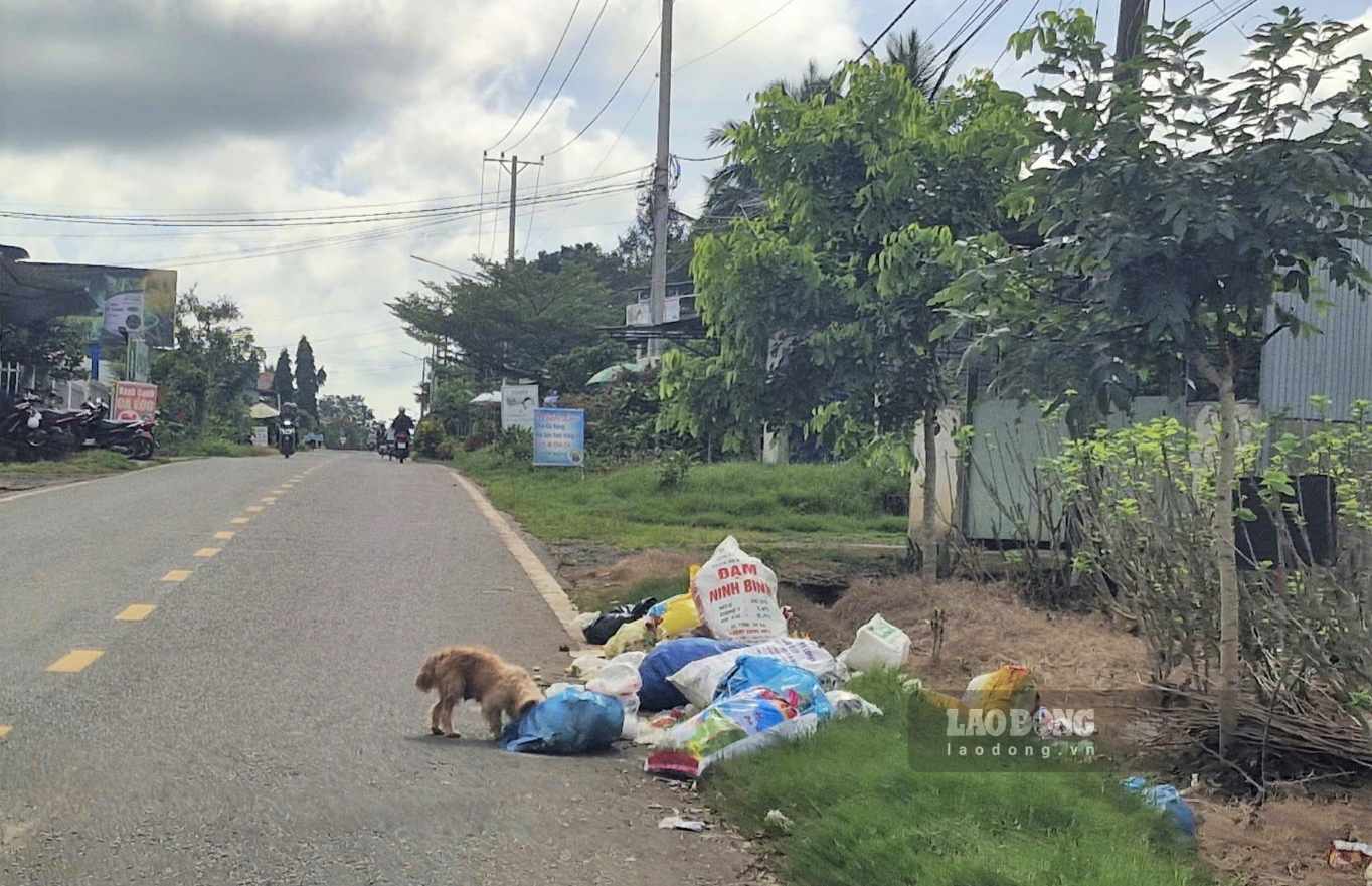 Người dân phường 1 Bảo Lộc đổ bỏ ra thải ra đường nguy cơ gây ô nhiễm môi trường. Ảnh: Phúc Khánh