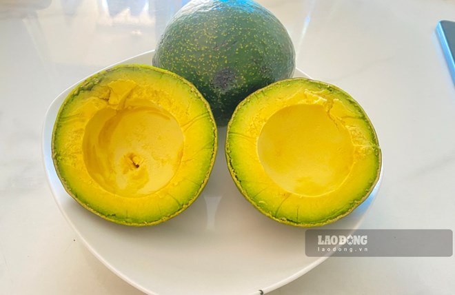 Avocado is not only eaten directly but can also be processed into many delicious dishes. Photo: Tra My