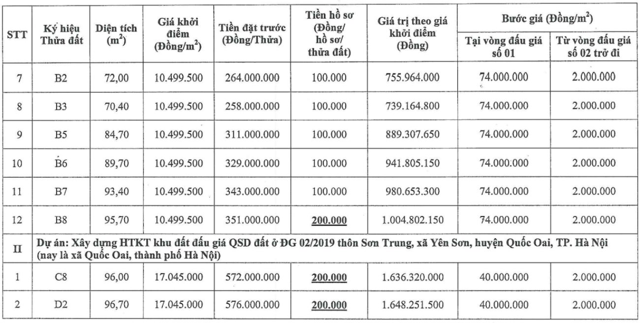 Thông tin các thửa đất sắp được đấu giá tại xã Quốc Oai. Ảnh: