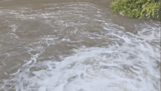 The stream below the May waterfall area has water turning black. Photo: People provided