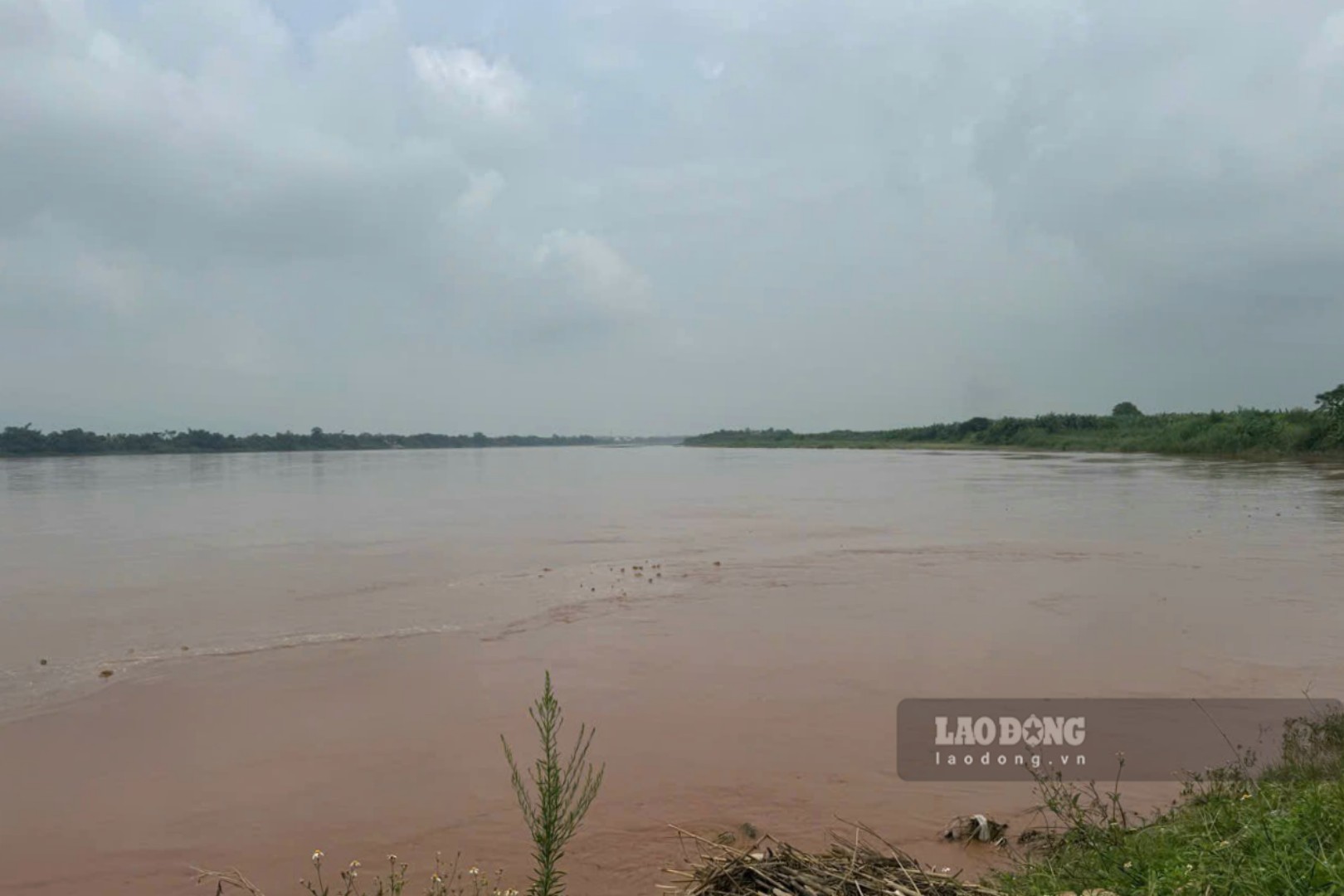 Thao River (the main stream of the Red River) is muddy in the flood season. Photo: To Cong