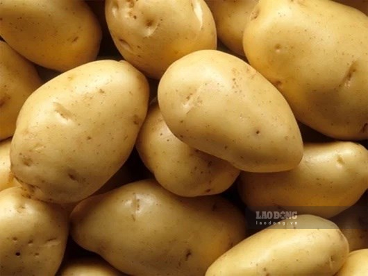 Potatoes can help control blood pressure and protect cardiovascular health. Photo: Kieu Vu
