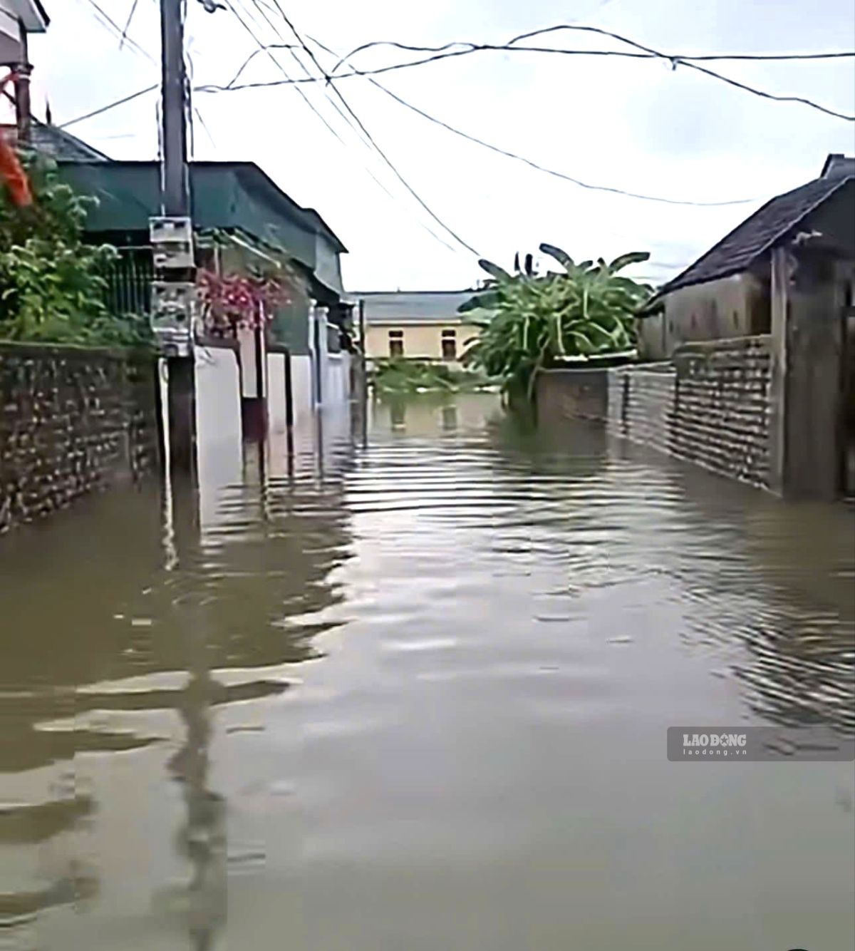 De fortes pluies ont provoqué des inondations locales dans la commune de Dien Chau, province de Nghe An. Photo de : Duy Chuong