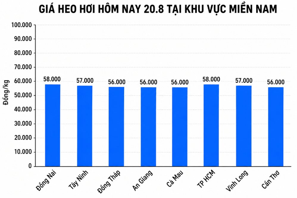 Giá heo hơi hôm nay 20.8 tại khu vực miền Nam. Đồ họa sử dụng AI