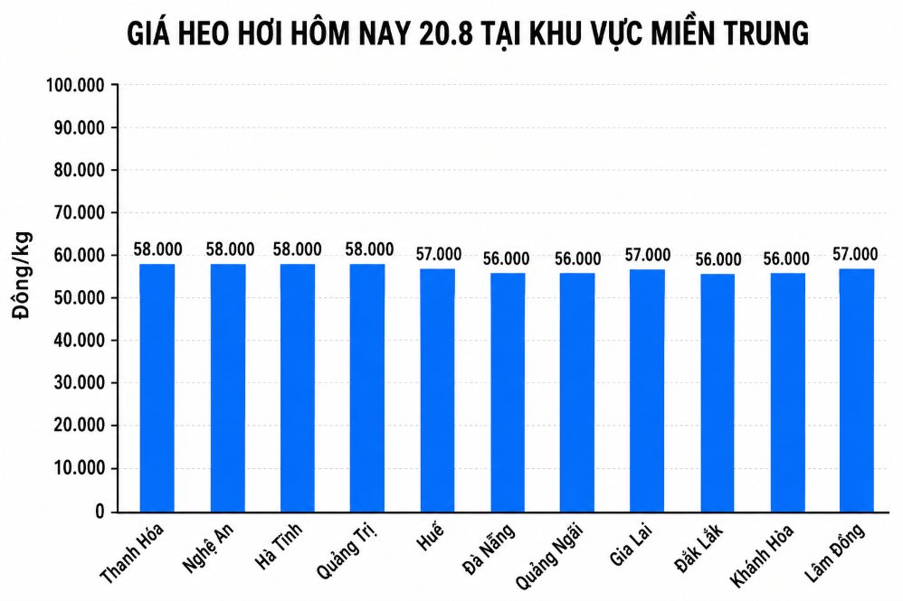 Giá heo hơi hôm nay 20.8 tại khu vực miền Trung. Đồ họa sử dụng AI