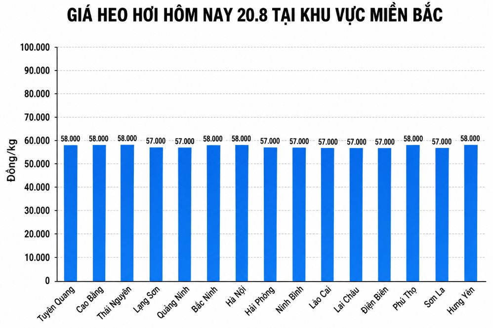 Giá heo hơi hôm nay 20.8 tại khu vực miền Bắc. Đồ họa sử dụng AI 