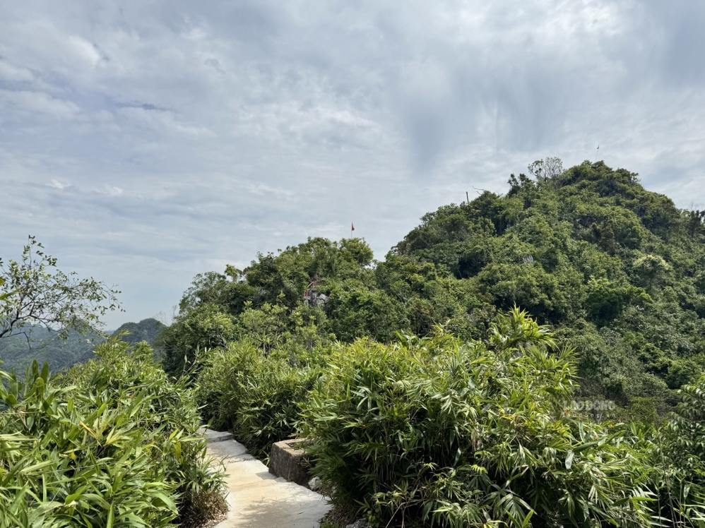 Ngu Lam Cat Ba peak is an ideal destination for nature-loving and conquering tourists. Photo: Linh Boo
