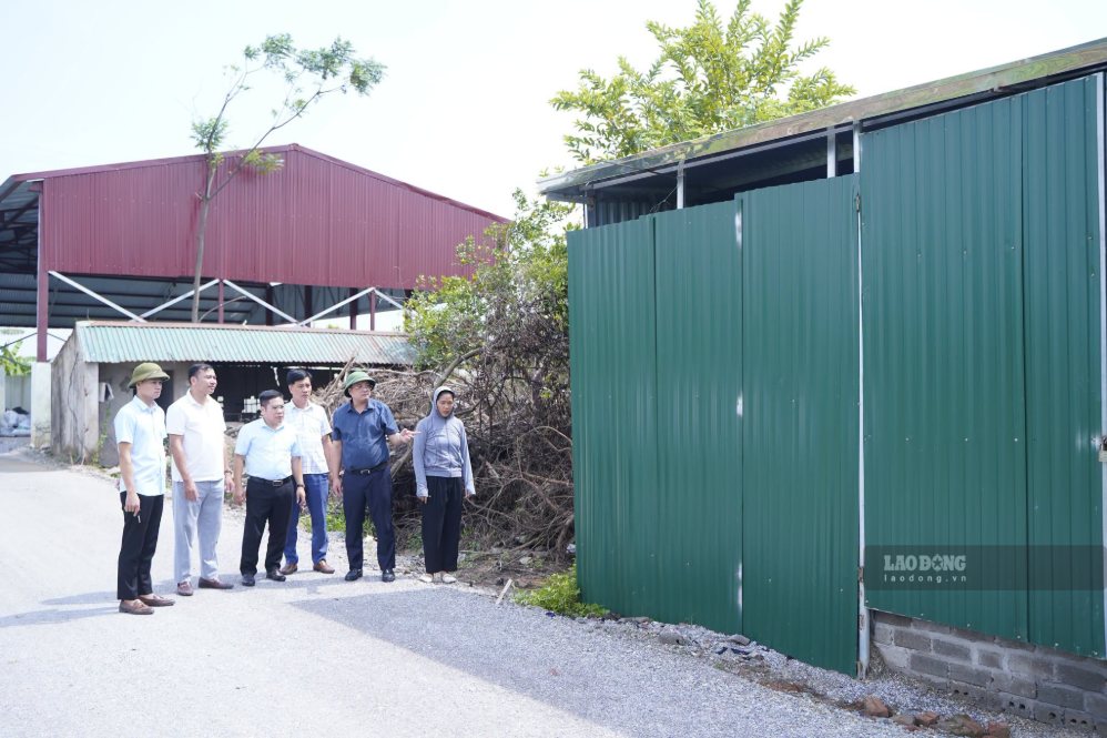 Chuyen My commune will organize coercion of 5 cases of violations in the field of land on August 21. Photo: Minh Loc