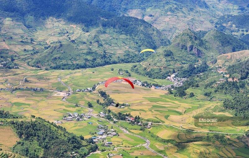 Bay dù lượn ở đèo Khau Phạ mang đến góc nhìn ấn tượng về những thửa ruộng bậc thang mùa lúa chín. Ảnh: Bảo Nguyên