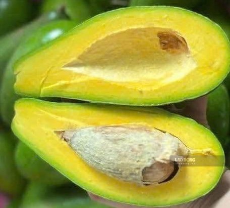 Eating avocado properly in the evening can help stabilize blood sugar. Photo: Kieu Vu