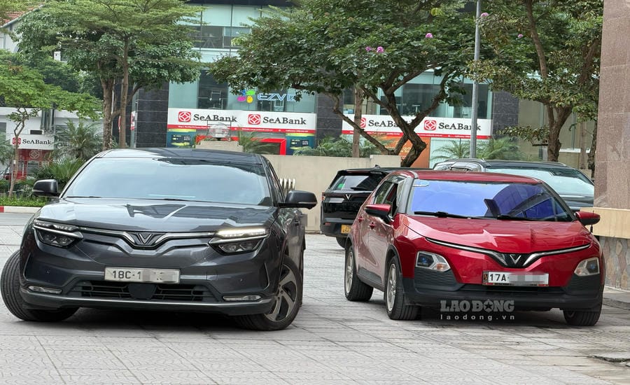 Electric vehicles account for the majority of the market increase. Photo: Thuy Linh