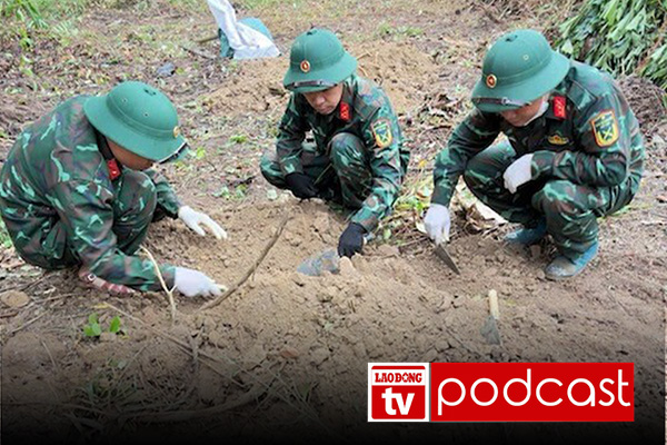 Morning news 21. 8: Quang Tri repatriates 4 sets of martyrs' remains and many artifacts