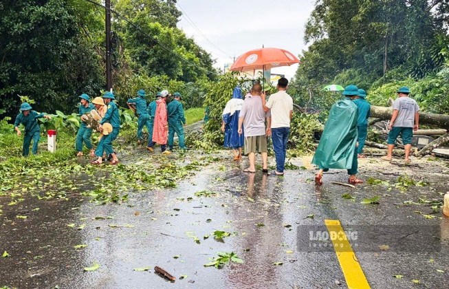 Lực lượng chức năng xử lý cây rừng ngã đổ trúng xe tải trên Đào Chuối và nhiều vị trí trên Quốc lộ 20. Ảnh: Phúc Khánh 