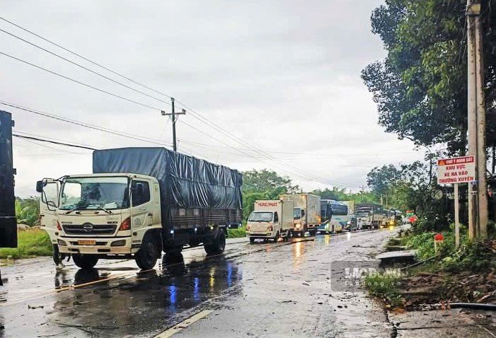 Giao thông trên Quốc lộ 20 ách tắc do cây xanh, cây rừng ngã đổ. Ảnh: Phúc Khánh 