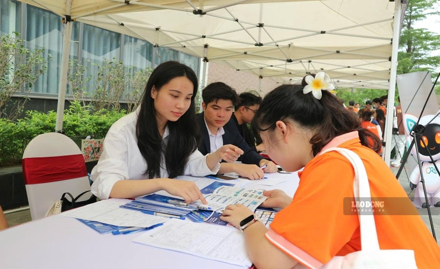 Young workers looking for job opportunities at the job fair organized by the Hanoi Employment Service Center. Photo: Le Phuong