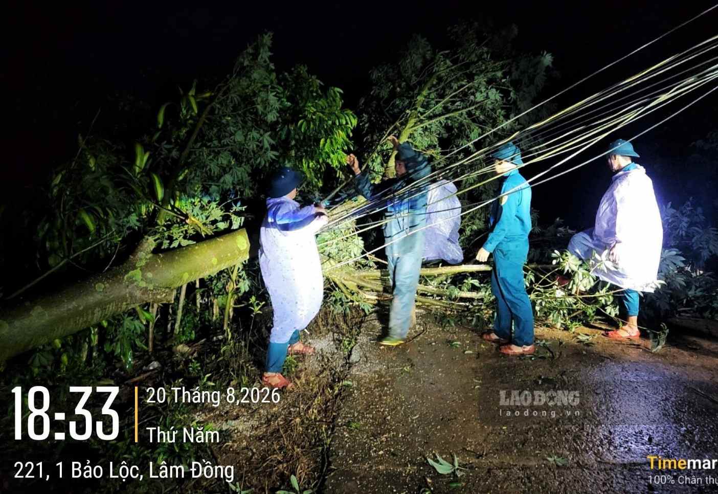 Các lực lượng xuyên đêm khắc phục sự cố đường điện trên địa bàn phường 2 Bảo Lộc. Ảnh: Trọng Nghĩa
