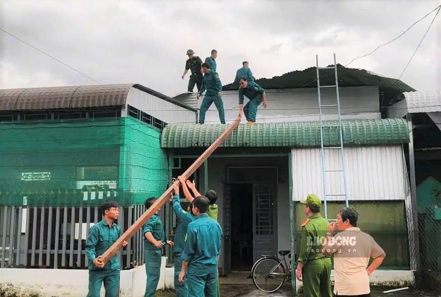 Southern localities in Lam Dong focus on supporting people to overcome the consequences of natural disasters. Photo: Trong Dai
