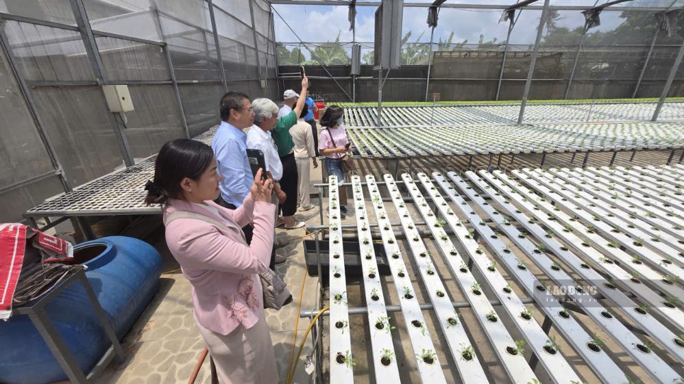 Việc truy xuất nguồn gốc giúp cơ quan quản lý nhanh chóng xác định khâu liên quan khi xảy ra sự cố. Ảnh: Ngọc Lê