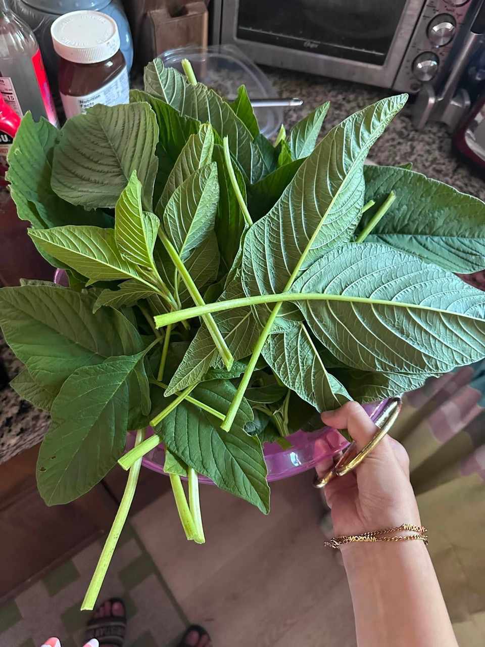 Thành quả thu hoạch vườn của Bình Phương. 