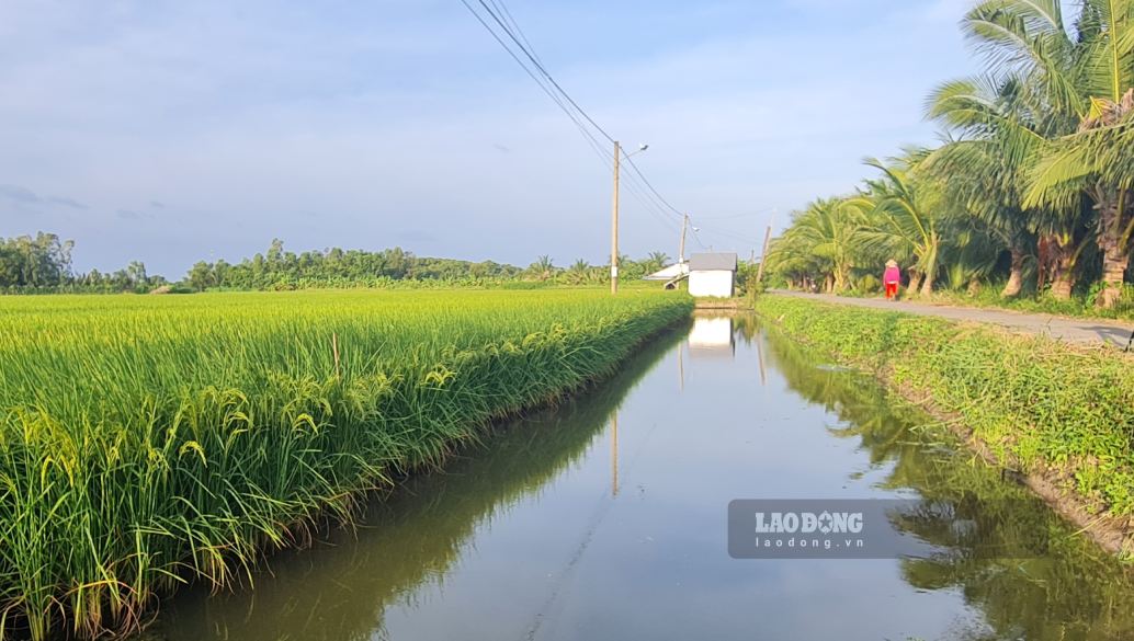 Một góc nông thôn mới xã Vĩnh Lộc, tỉnh Cà Mau. Ảnh: Nhật Hồ.