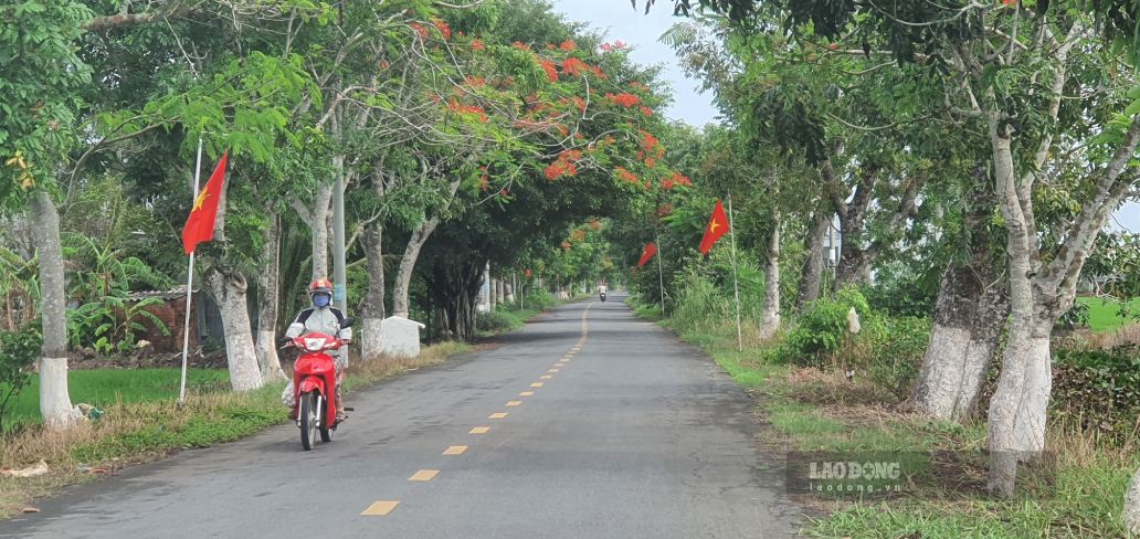 Một con đường nông thôn mới tại Cà Mau. Ảnh: Nhật Hồ.