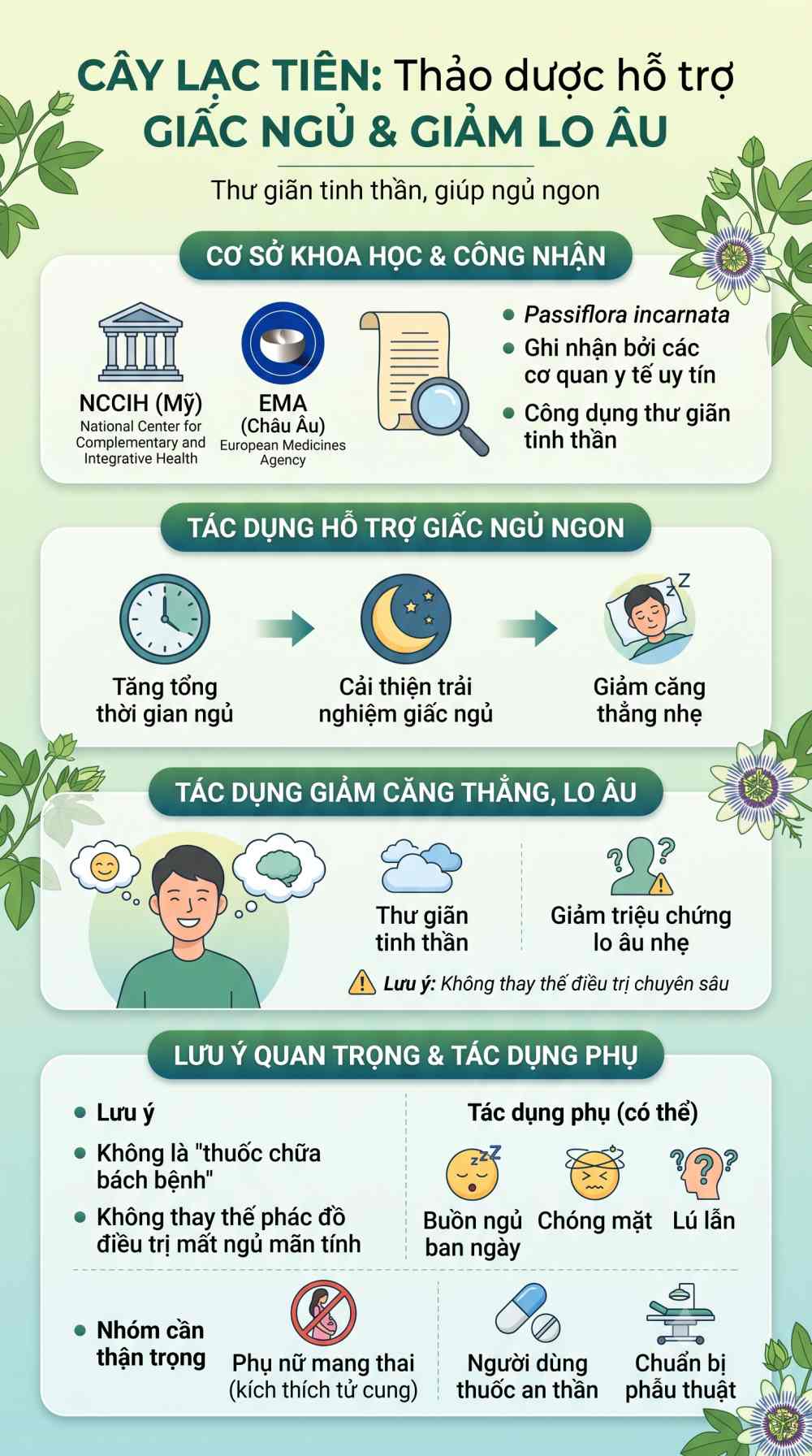 Infographic tổng hợp công dụng của cây Lạc tiên chữa mất ngủ giảm lo âu và cảnh báo y tế an toàn Passiflora incarnata. Đồ hoạ: AI