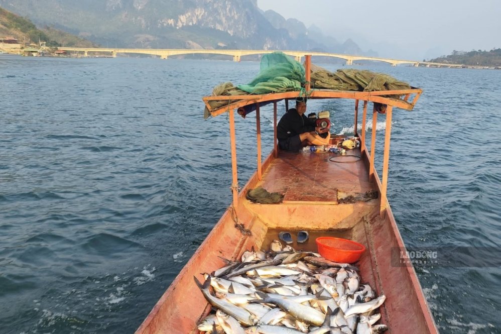 Tôm cá đánh bắt được trên lòng hồ Quỳnh Nhai được trở về bến cầu Pá Uôn. Ảnh: Trường Sơn