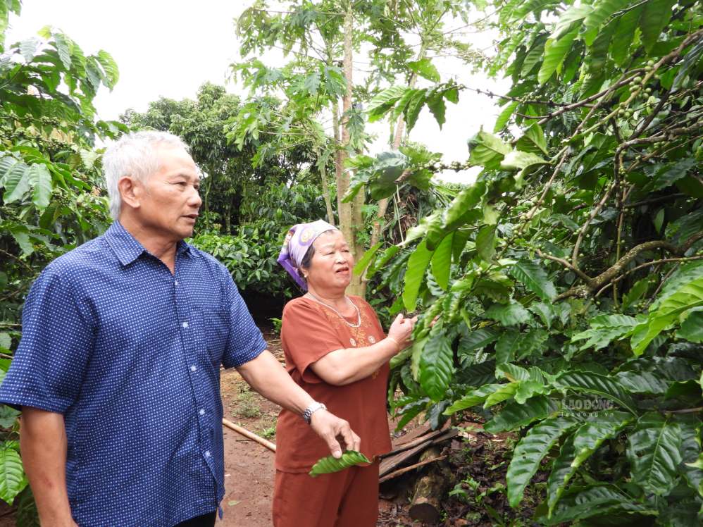 Ông Quyết động viên người dân lao động sản xuất, phát triển kinh tế. Ảnh: Lê Duyên