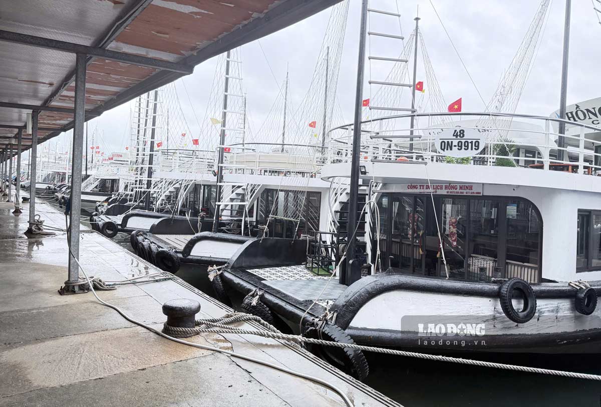 Tuan Chau International Passenger Port temporarily suspends licensing ships to leave port. Photo: Nguyen Hung