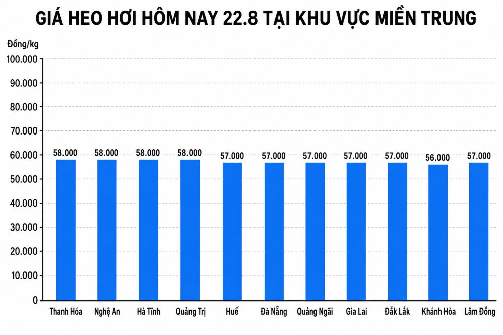 Giá heo hơi hôm nay 22.8 tại khu vực miền Trung. Đồ họa: Thùy Linh