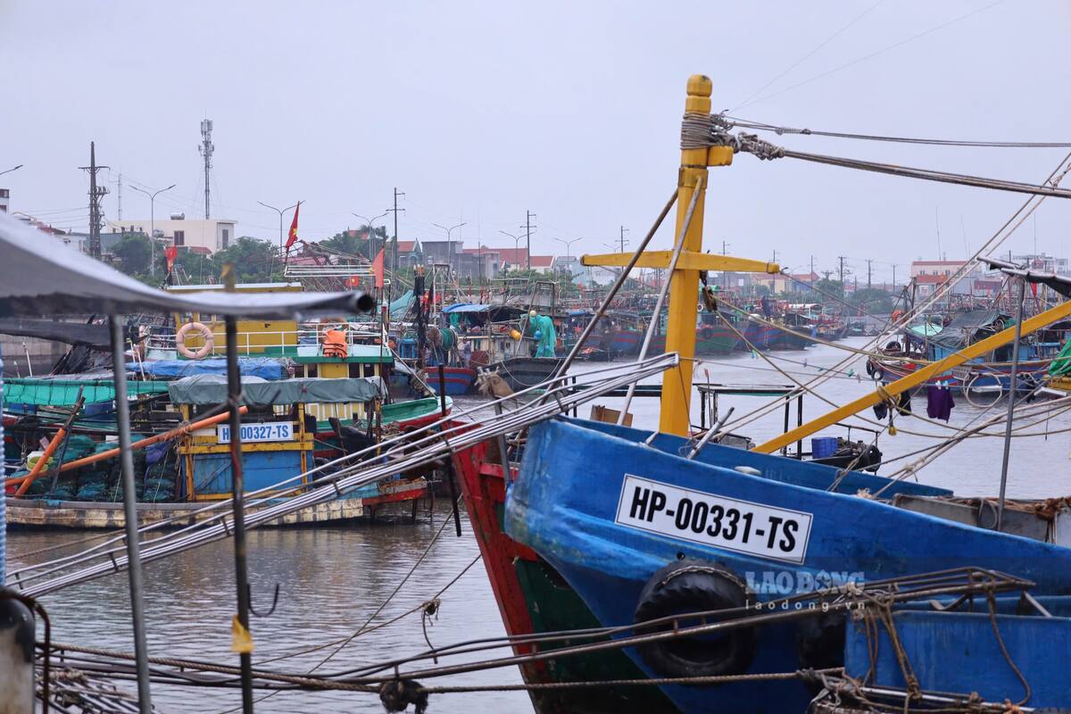 At Ngoc Hai fishing port (Do Son ward, Hai Phong), ships and boats have returned to safe anchorages. Photo: Duy Tu