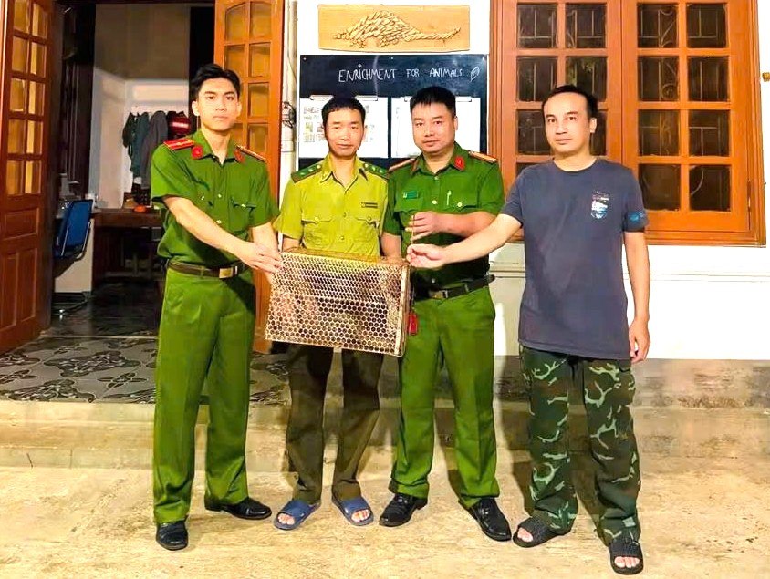 Công an xã Quỳnh Lưu tiếp nhận cá thể kỳ đà vân do người dân phát hiện, giao nộp. Ảnh: Công an Nghệ An
