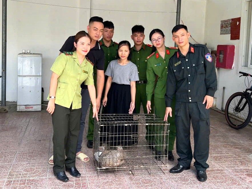 Đội Cảnh sát bảo vệ mục tiêu, Phòng Cảnh sát Cơ động, Công an tỉnh Nghệ An bàn giao cá thể tê tê cho UBND phường Vinh Lộc để làm thủ tục chuyển đến Vườn quốc gia Pù Mát cứu hộ. Ảnh: Công an Nghệ An