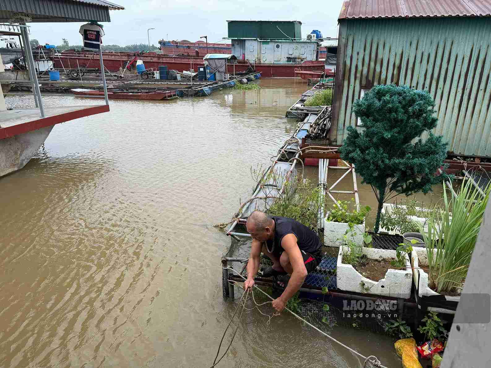 People living on boats along the river in Hai Duong ward, Hai Phong city reinforce their homes before storm No. 4. Photo: Mai Huong