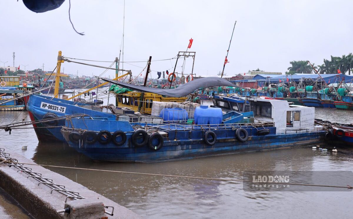 Ships return to anchor at Ngoc Hai fishing port, Do Son ward, Hai Phong. Photo: Duy Tu