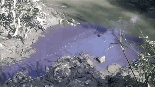 The water source changes color and smells foul, causing people to worry. Photo: Hoang Loc