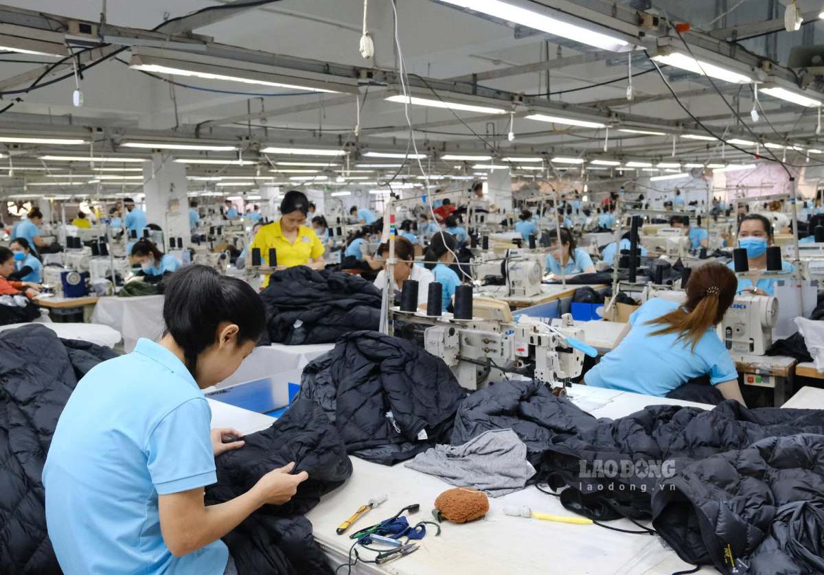 The Ministry of Home Affairs proposes a minimum wage increase of 7.8% compared to the current level, applied from January 1, 2027. Photo: Han Nghien