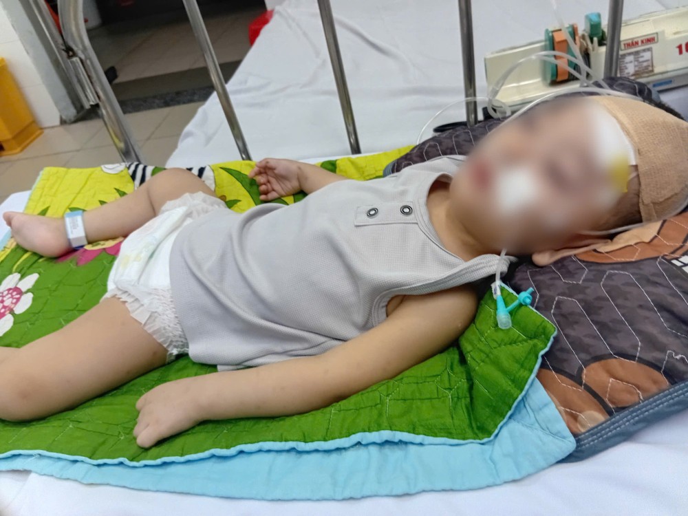 Since baby Minh Kha got sick, the poor family has become even more difficult and impoverished... Photo: Family provided