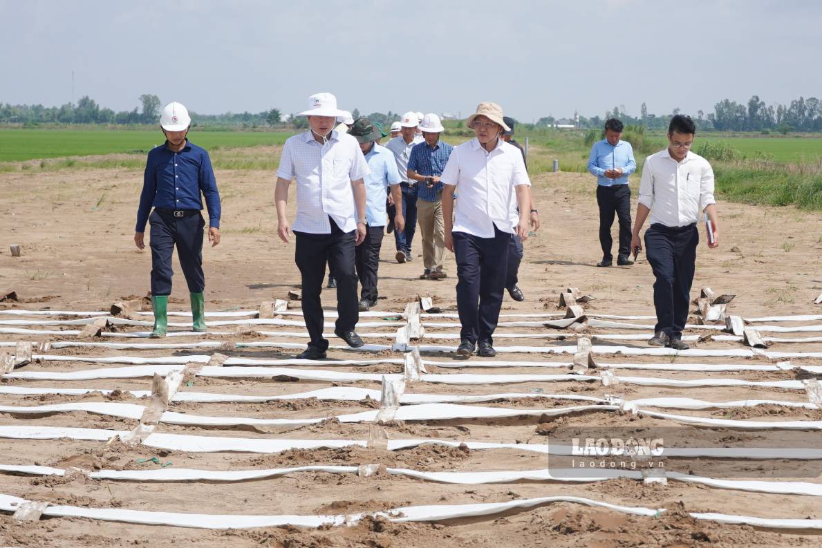 Đoàn công tác kiểm tra tiến độ dự án cao tốc. Ảnh: Tạ Quang