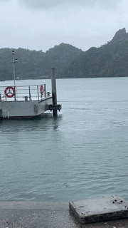 Bão số 4 ảnh hưởng trực tiếp tới Cát Bà, du khách được hỗ trợ nơi lưu trú. Video: Thanh Bình