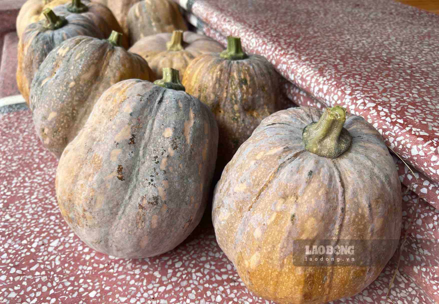 People with high uric acid levels can add pumpkin to their daily diet. Photo: Vy Vy